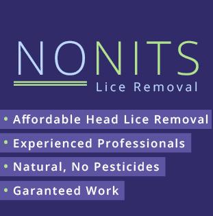 Sacramento's No Nits Lice Removal
